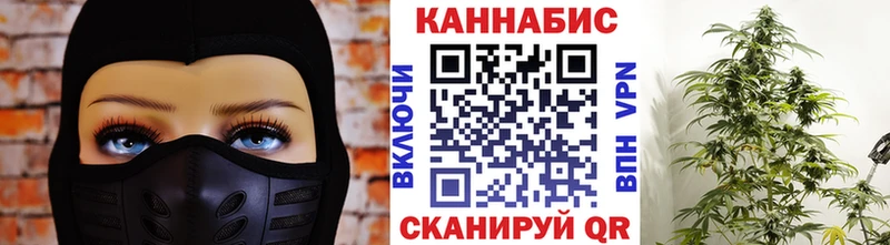 Шишки марихуана план  купить наркотики сайты  Урень 